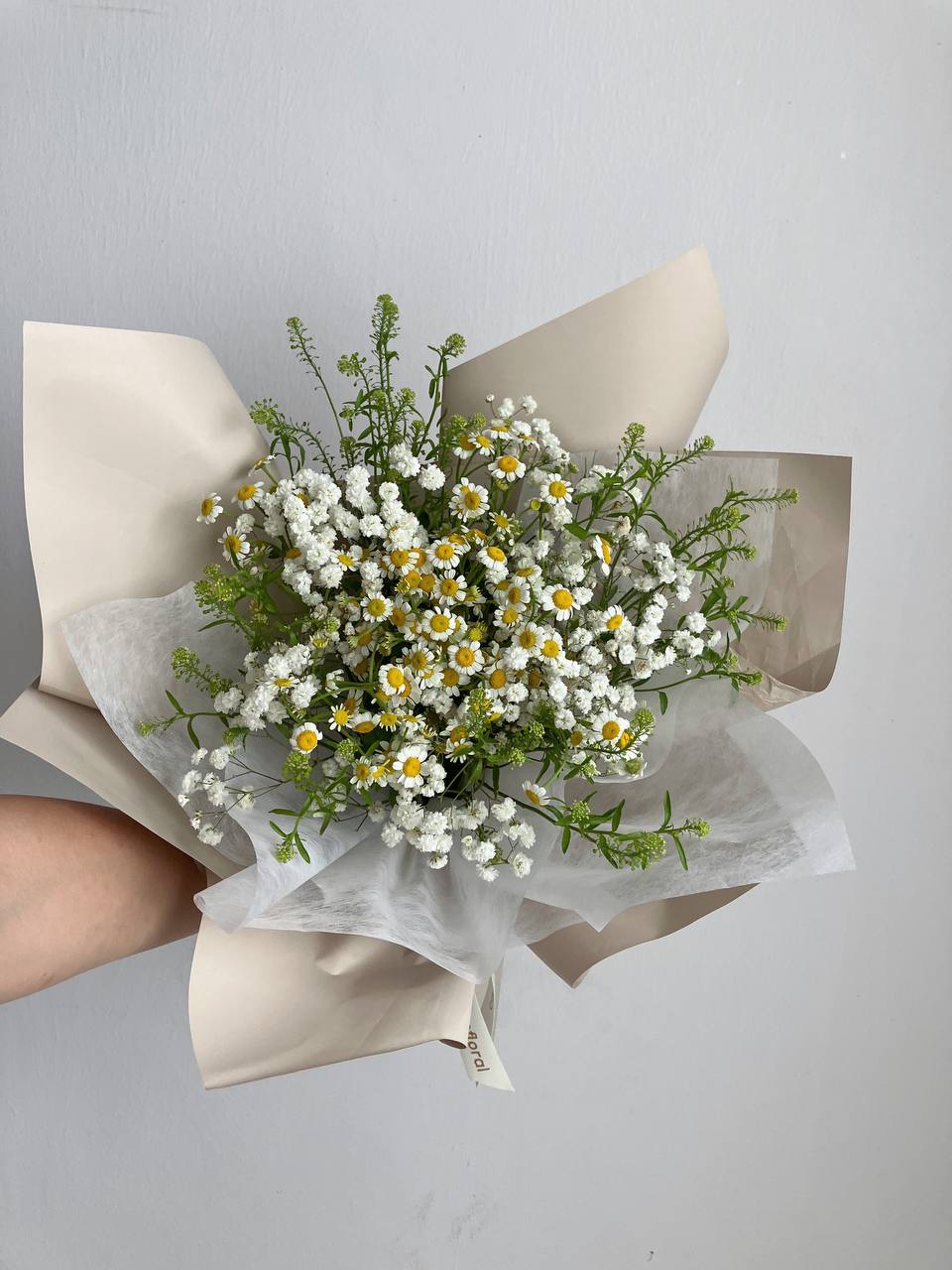 Chamomile Dreams - Catto Floral | Flower Delivery in Singapore