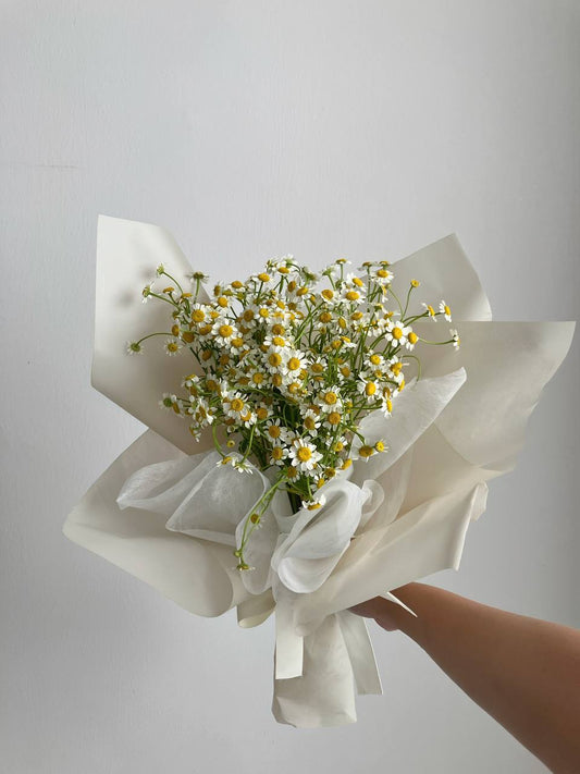 Chamomile Dreams - Catto Floral | Flower Delivery in Singapore